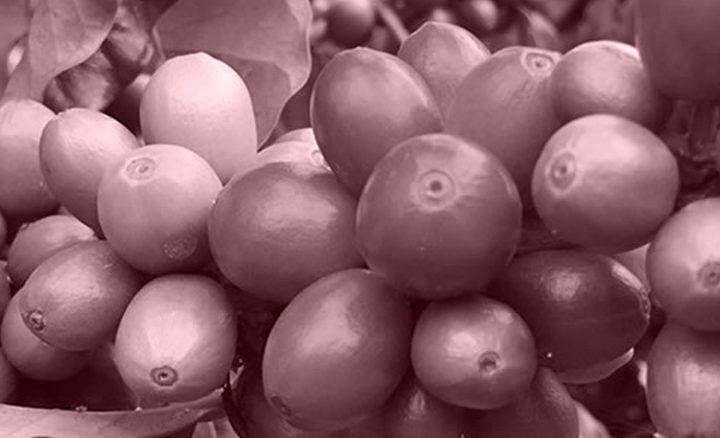 #126 Holmen Coffee: Holmen Helsinki