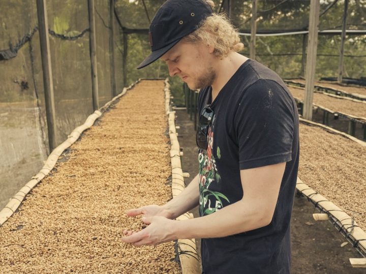 #178 Record Coffee Company: Vista Hermosa