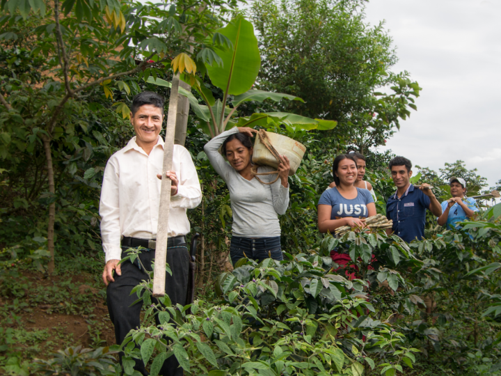 #180 Makea Coffee: Peru FTO