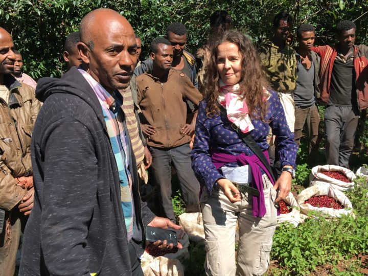 #229 Mokkamestarit: Ethiopia Suke Quto