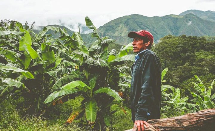 #235 Lykke Kahvitilat: Peru – Monobamba