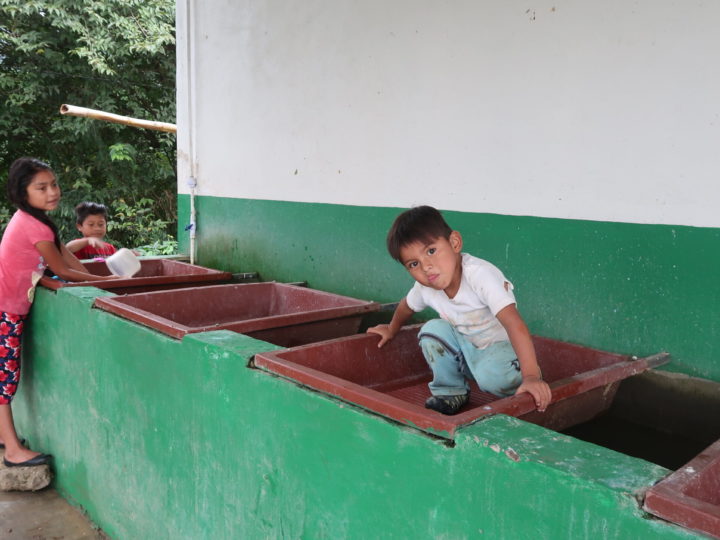 #235 Inka Paahtimo: Meksiko las Chicharras