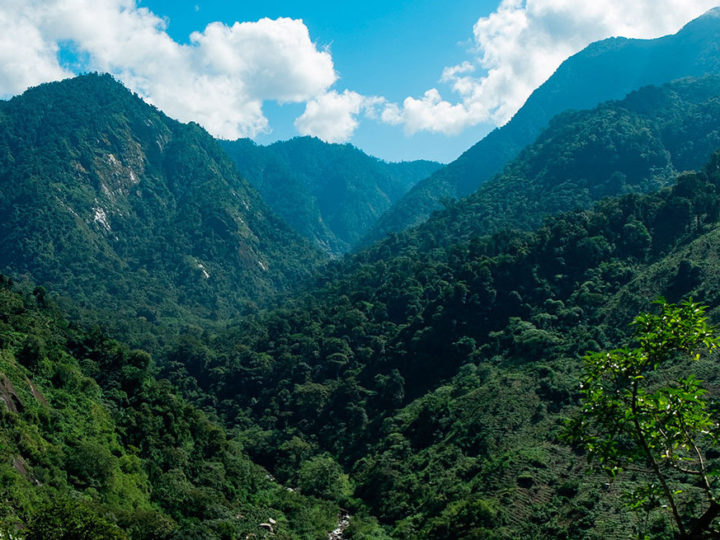 #237 Kahiwa Coffee Roasters: Guadalupe Zaju