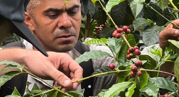 #106 Wildkaffee Rösterei: El Salvador – Coffee School Project