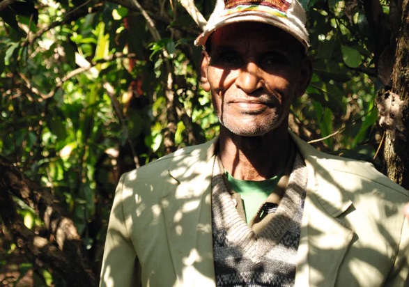 #106 Käethe Kaffee: Ethiopia Taramesa
