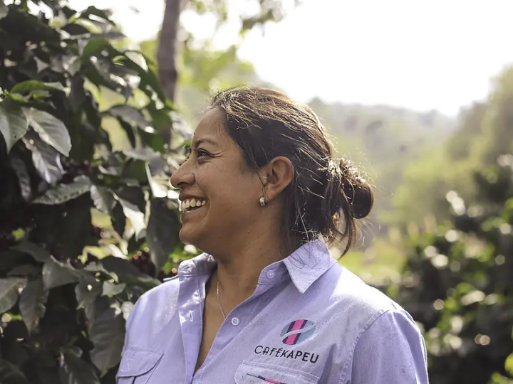 #74 ROKUMEI COFFEE CO: Guatemala Antigua