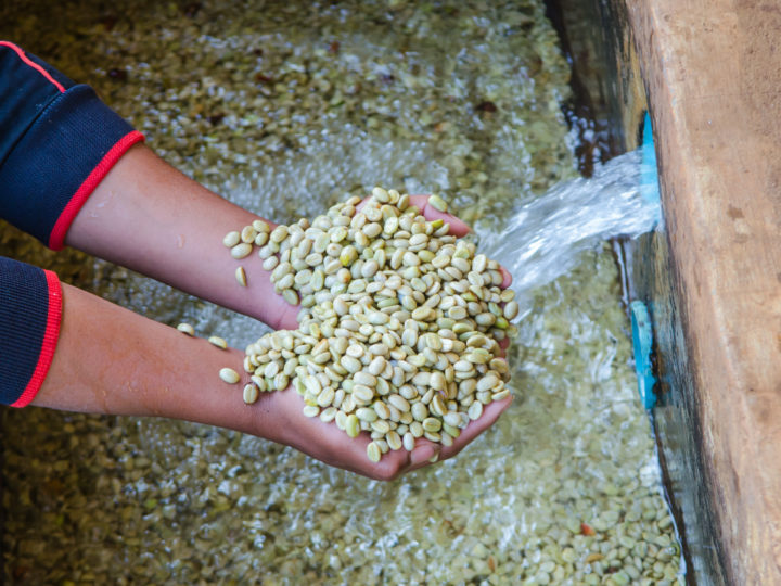 #109 Kawa Kaffeemanufaktur: Cafico Honduras