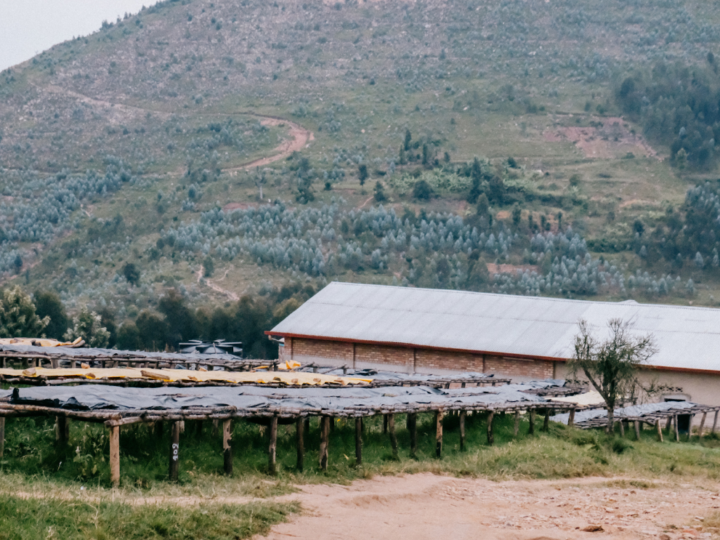 #241 Inka Paahtimo: Rwanda Gitega Hills 45