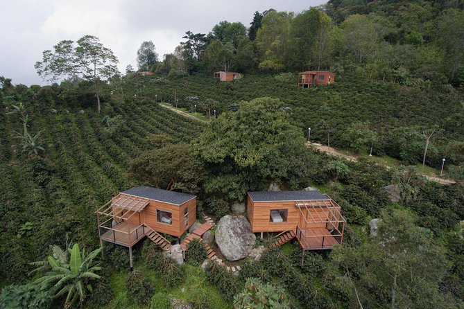 #141 Main Lane Coffee Roasters: La Palma & El Túnel Collective (SLURP premium Saksa medium)